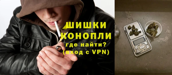 прущие грибы Инта