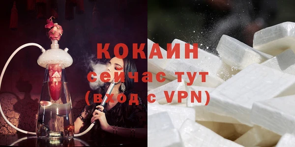 ECSTASY Инсар