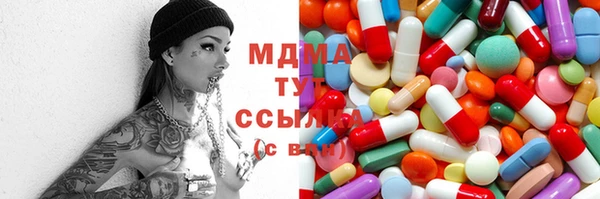прущие грибы Инта