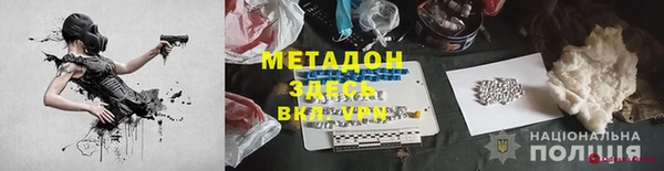 прущие грибы Инта
