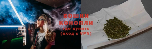 прущие грибы Инта