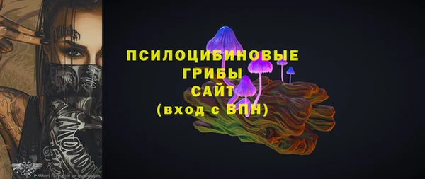 ECSTASY Инсар