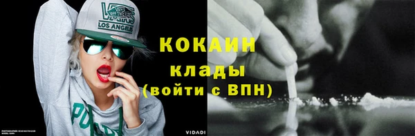 ECSTASY Инсар