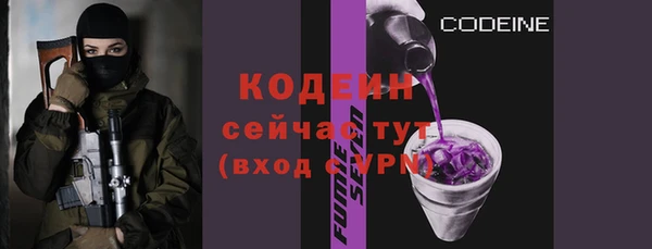 прущие грибы Инта