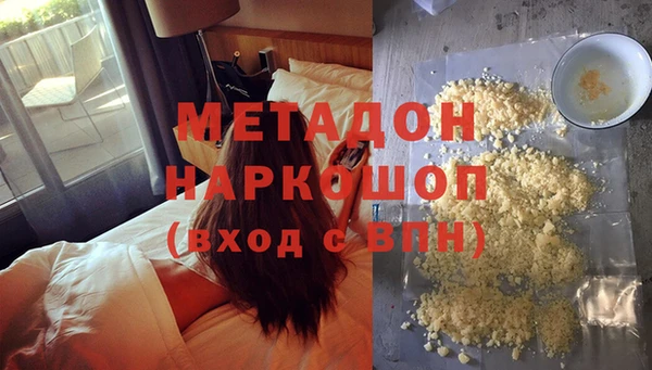прущие грибы Инта
