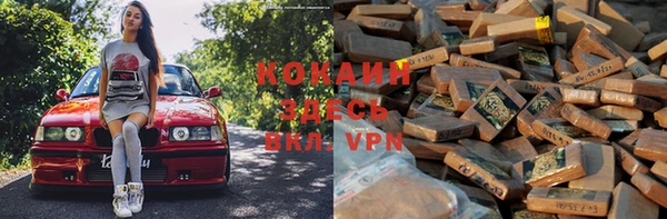 прущие грибы Инта