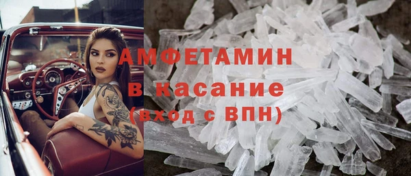 прущие грибы Инта