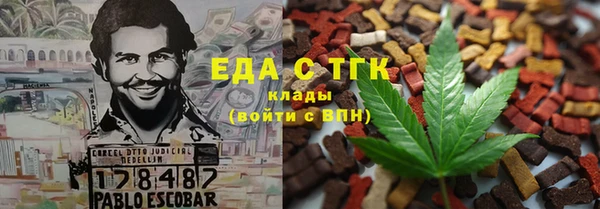 прущие грибы Инта
