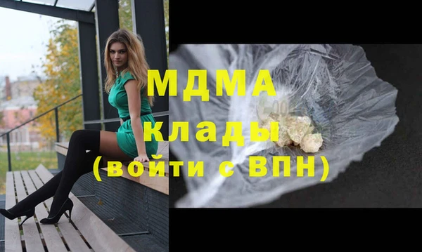 прущие грибы Инта