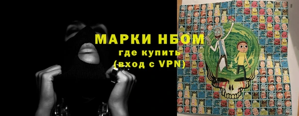 прущие грибы Инта
